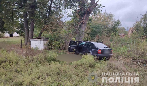 На Полтавщині сталася смертельна ДТП: легковик врізався в дерево