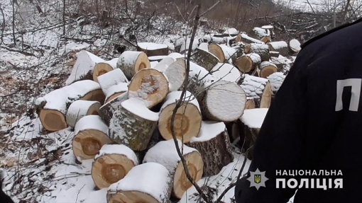 На Полтавщині чоловік вирубував дерева, та завдав збитків на 355 тисяч гривень