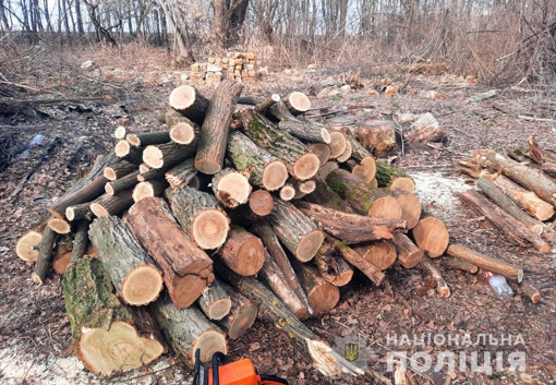 На Полтавщині чоловіка підозрюють у незаконній вирубці дерев