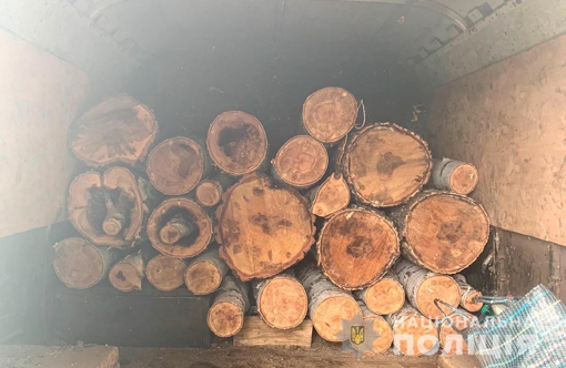 У Полтавській області двоє чоловіків незаконно вирубували дерева