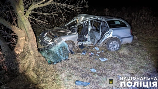 У Полтавській області 41-річний водій легковика врізався у дерево