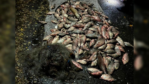 У Полтавській області 32-річний браконьєр незаконно виловив понад 100 кг риби