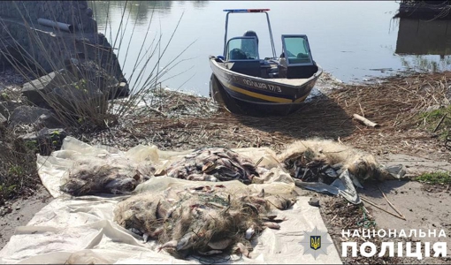 На Полтавщині чоловік незаконно наловив риби на понад 400 тис. грн