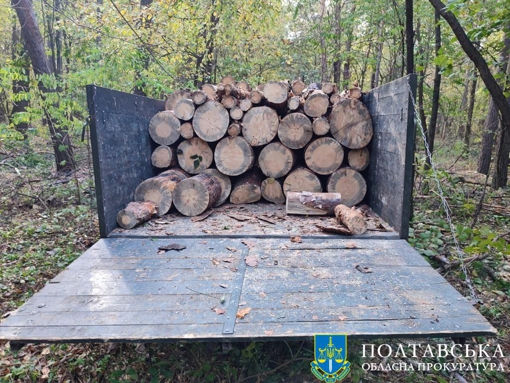 У Полтавській області чоловік організував незаконну порубку 17 сосен