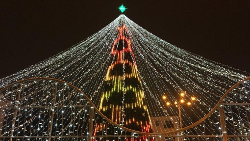 Свято наближається: де та за чиї кошти встановлять новорічні ялинки на Полтавщині?