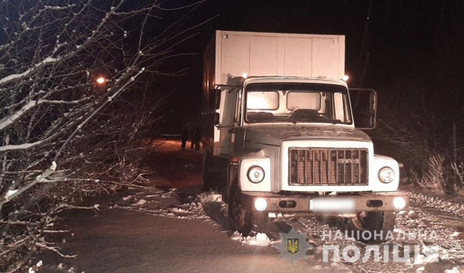 ДТП на Полтавщині: вантажівка наїхала на пішохода