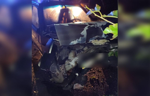 На Полтавщині 17-річна водійка легковика врізалася в дерево