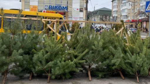 Перелік пунктів продажу різдвяного дерева у Кременчуці