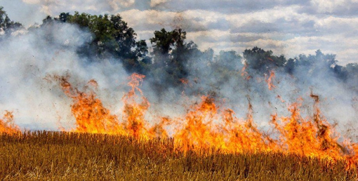 У Полтавській області оголосили найвищий рівень пожежної небезпеки