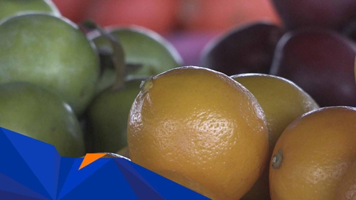 Пігулки або фрукти: через нестачу сонця взимку найбільше бракує вітаміну D