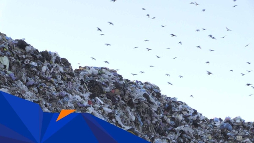 За минулий рік на сміттєзвалища Полтавщини вивезли понад 97 мільйонів тонн відходів