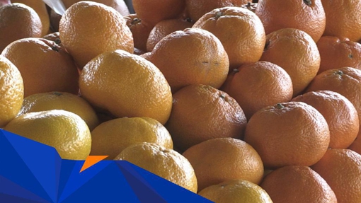 Ціна мандарин на полтавських ринках варіюється від 28 до 60 гривень за кілограм
