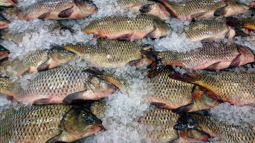 Через порушення, на одному з ринків Полтавщини заборонили продавати рибопродукти