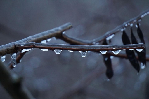 На Полтавщині прогнозують дощ та мокрий сніг