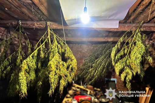 У дідуся з Оржиці знайшли понад п'ять кілограмів наркотиків