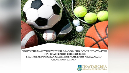 На Полтавщині суд скасував рішення депутатів ліквідувати спортивну школу