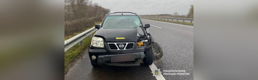 У Полтавській області автомобіль збив на смерть 40-річного чоловіка