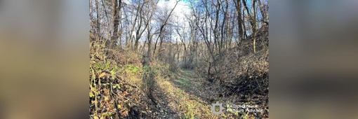 На Полтавщині у лісі знайшли тіло пенсіонерки Ганни Меркотан, яку розшукували