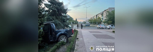 У Горішніх Плавнях легковик врізався в дерево: жінка поранена