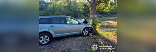 У Полтаві легковик врізався у дерево: троє людей поранені