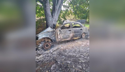 ДТП на Полтавщині: легковик врізався у дерево і загорівся