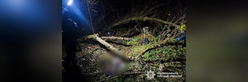 У Полтавській області у лісопосадці знайшли рештки людини