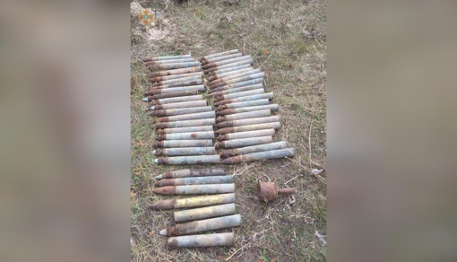 На Полтавщині у приватному господарстві виявили майже пів сотні артилерійських снарядів та гранату