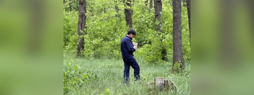 На Полтавщині для диких тварин розкладатимуть вакцину від сказу