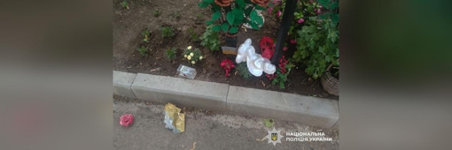 Вандали пошкодили Алею Героїв на Полтавщині