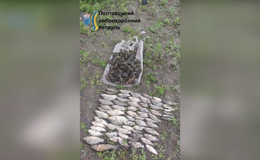 На Полтавщині викрили браконьєрів із незаконним уловом на майже 480 тис. грн