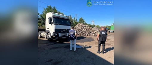 На Полтавщині чоловіки незаконно вирубали дерева в лісі на понад 2 мільйони гривень