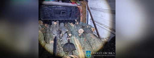На Полтавщині затримали місцевого жителя за вирубку дуба