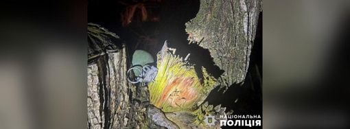 На Полтавщині в лісосмузі знайшли боєприпас
