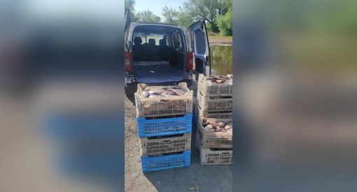На Полтавщині чоловік незаконно перевозив понад 400 кг риби