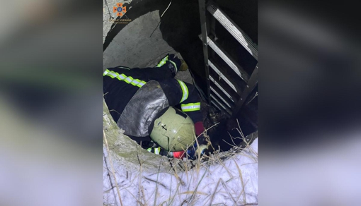 У Полтаві рятувальники витягли собаку з каналізаційного колектору