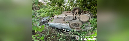 На Полтавщині автомобіль злетів у кювет й перевернувся: є поранений