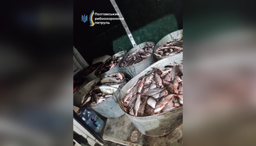 На Полтавщині троє осіб виловили незаконно риби на понад 10 млн грн