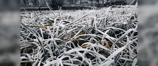 На Полтавщині прогнозують заморозки на поверхні грунту