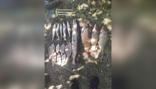 На Полтавщині викрили браконьєра, який виловив риби на понад 130 тисяч гривень