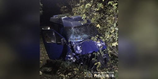 ДТП на Полтавщині: нетверезий водій мікроавтобуса в’їхав у дерево