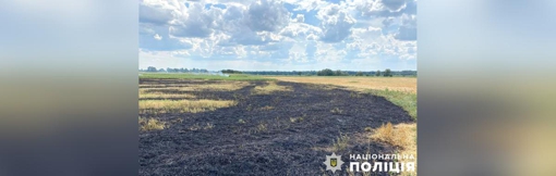 На Полтавщині під час спалення сухої трави жінка отримала численні опіки