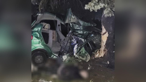У Полтаві водій легковика розбився об дерево
