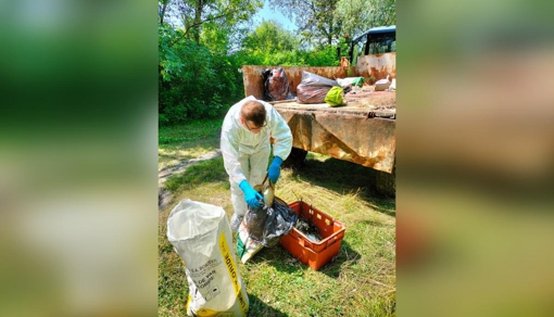 Майже 380 кг мертвої риби виловили із забрудненої річки Псел