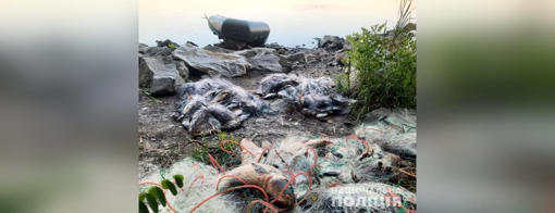 У Полтавській області викрили браконьєра з незаконним уловом на понад 240 тис. грн