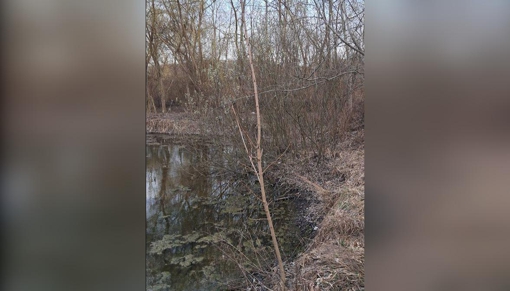 Хлопчика побили в Дендропарку під час рибалки