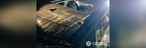 У Полтаві на автомобіль упало дерево: поранені жінка та дитина