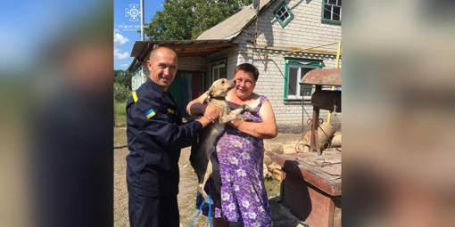 На Полтавщині рятувальники витягли із колодязя собаку