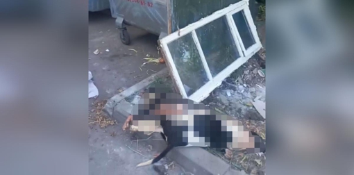 У Полтаві поблизу смітника виявили двох мертвих собак