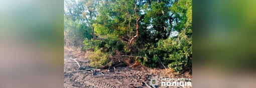 У Полтавській області на 17-річного хлопця впало дерево