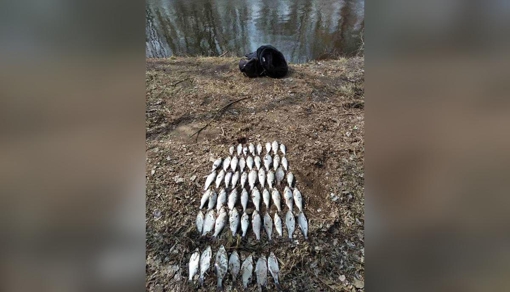 На Полтавщині чоловік рибалив у період нересту: сума збитків становить понад 84 тис. грн